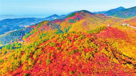 桐柏紅葉什麼時候看 與秋季旅遊的美妙交集